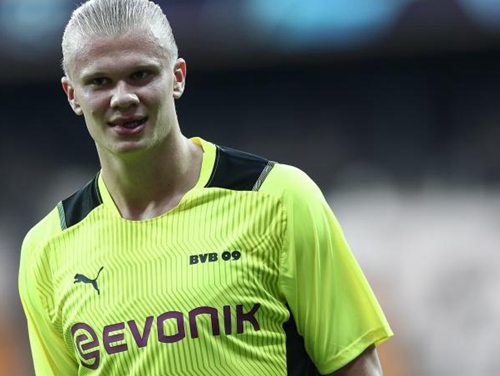 太全面了！杰伦·约翰逊过去5战场均接近30+14+11