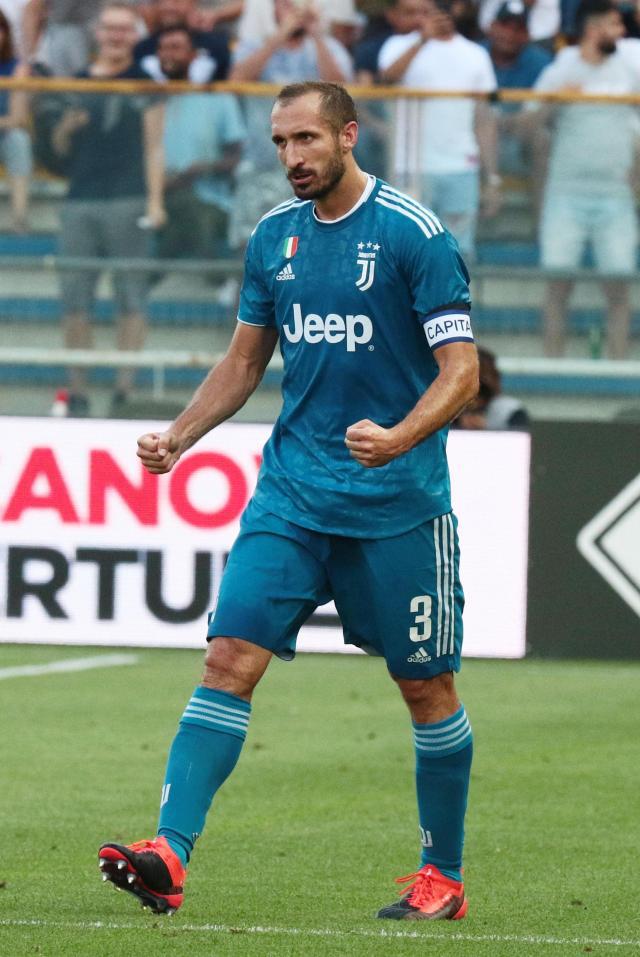 虚拟网球博彩收入占比升至18%